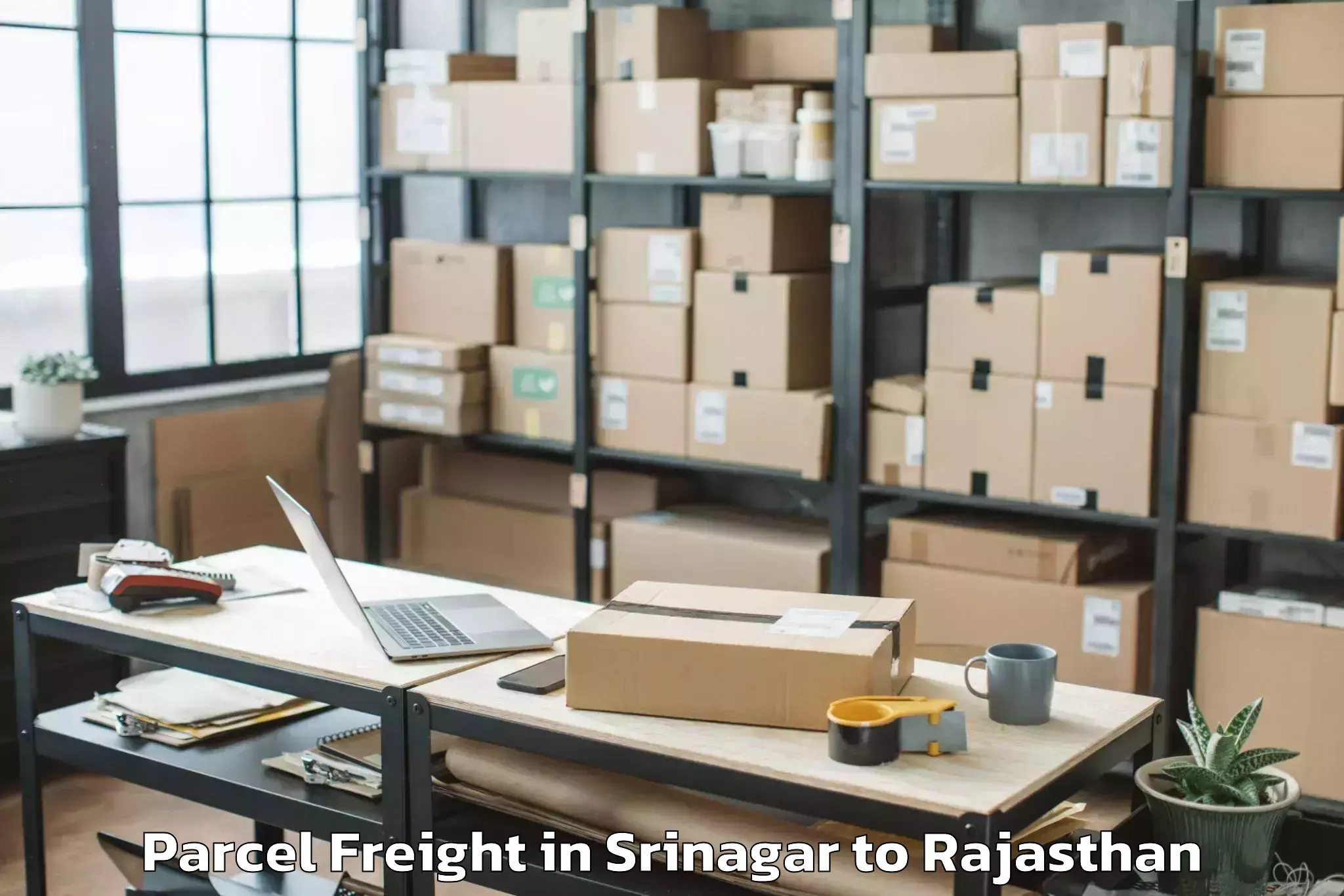 Book Srinagar to Maharaja Ganga Singh Universit Parcel Freight Online